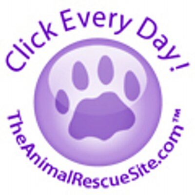  Plan For Living Success Stands Behind The Animal Rescue Site