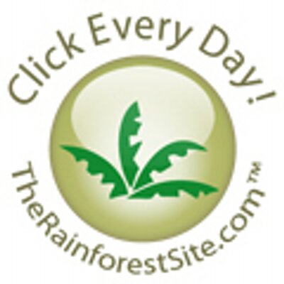  Plan For Living Success Adores The Rainforest Site